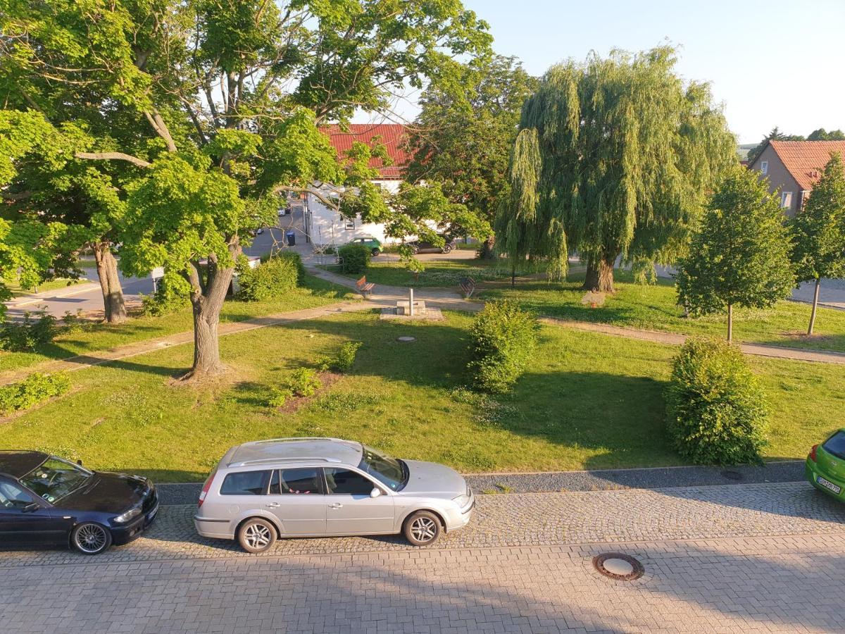 Ganze Ferienwohnung 5 Km Von Erfurt, Mit Kaffeevollautomat, Tv, Wlan, Boxspringbett, Schlafsofa Und Einkaufsmoeglichkeiten, Sehr Gute Anbindung Zur A71 Und A4, Kostenloser Oeff Parkplatz Fuer Pkw Und Transporter Elxleben Εξωτερικό φωτογραφία